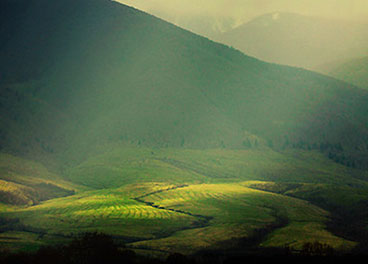 ip攻击器网页版ddos