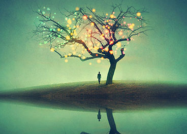 网站攻击工具手机版